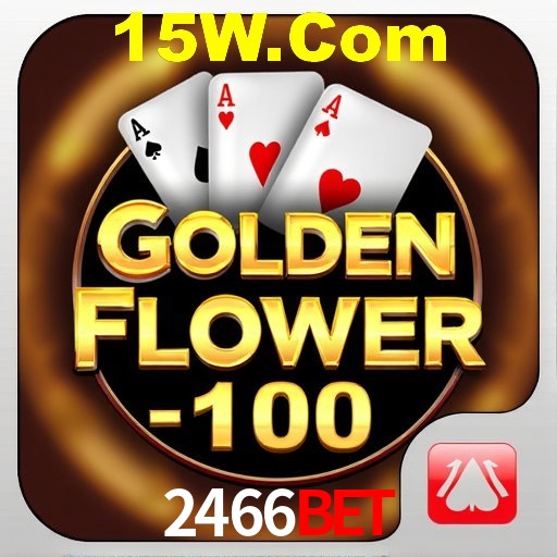 A Experiência Imersiva dos Cassinos Ao Vivo no 2466Bet